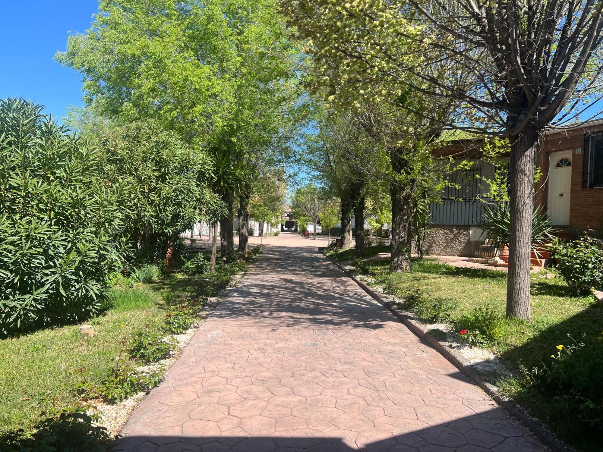 Bungalow Padul El Mamut Екстер'єр фото